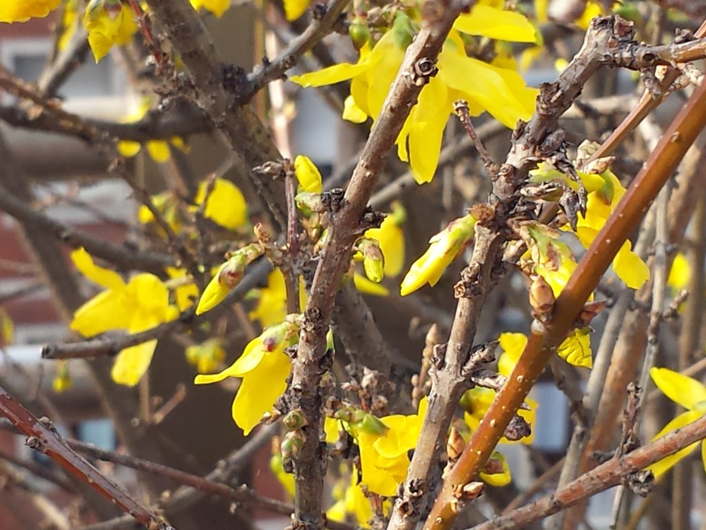 20140310_094809