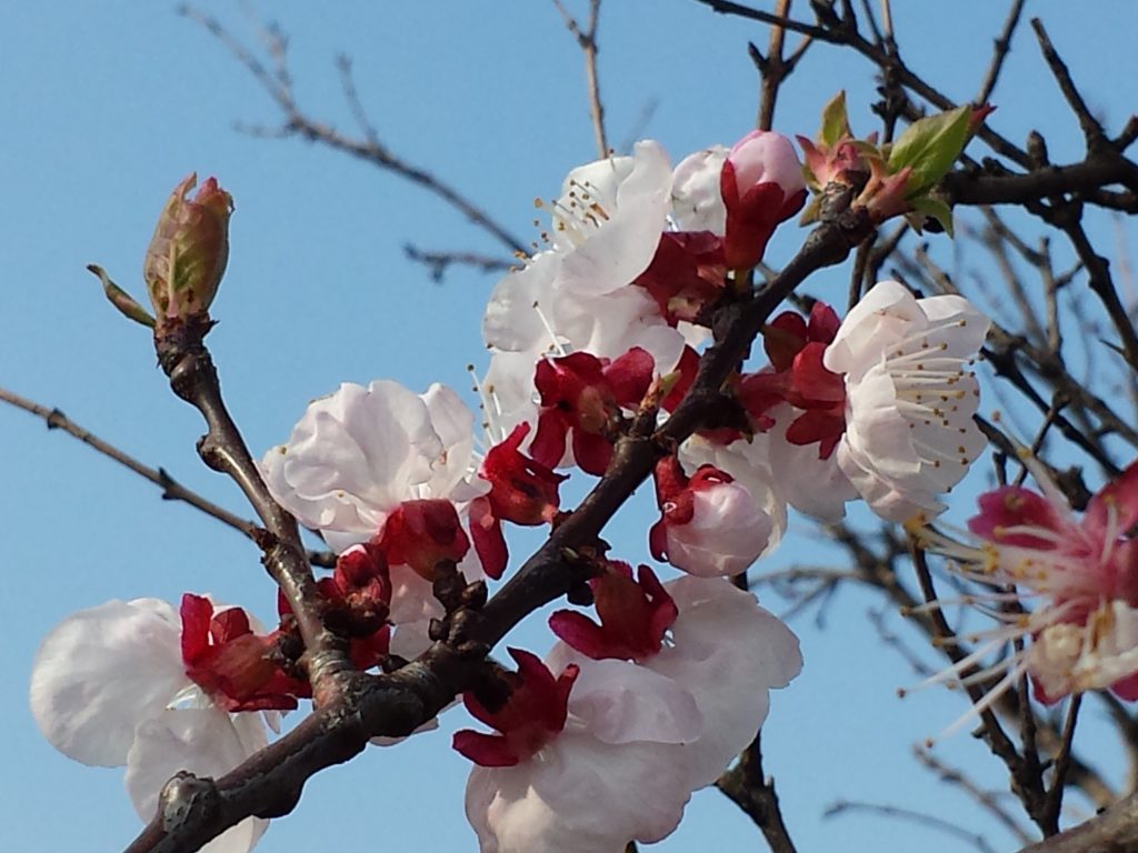 20140310_094822
